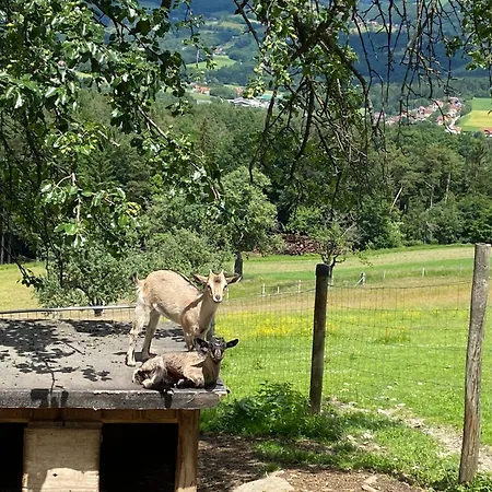 Erlebnishof Koenig-kober *