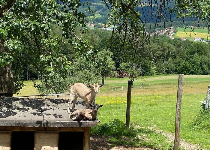 Erlebnishof König-kober *